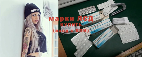 гидра Аркадак