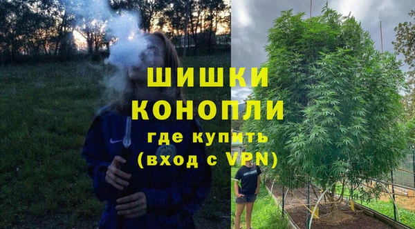 гидра Аркадак