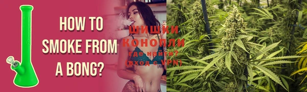 гидра Аркадак