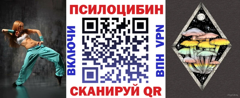 Галлюциногенные грибы Psilocybe  Мышкин 